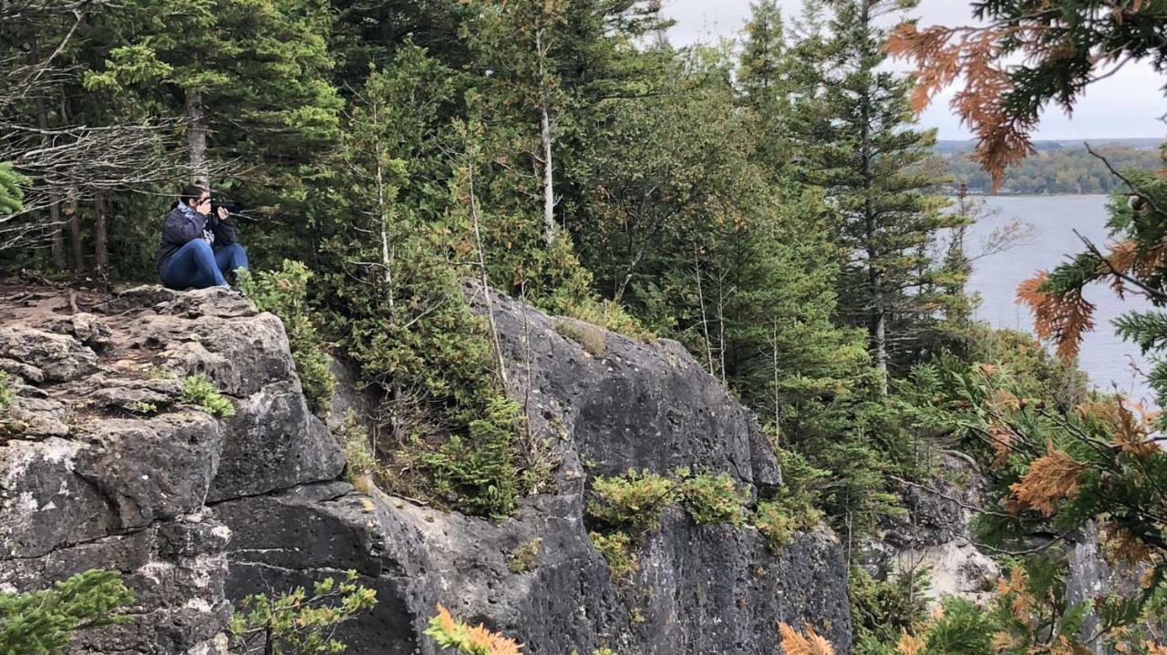 The Whippoorwill Cottage - Nbp-2022-201 Lions Head Exteriér fotografie